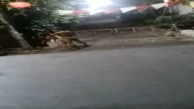 Ngewe Doggy Di Dalam Portal Komplek Nekat HD